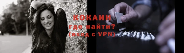 мет Арсеньев