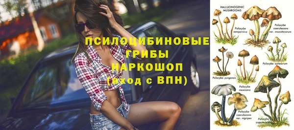 мет Арсеньев