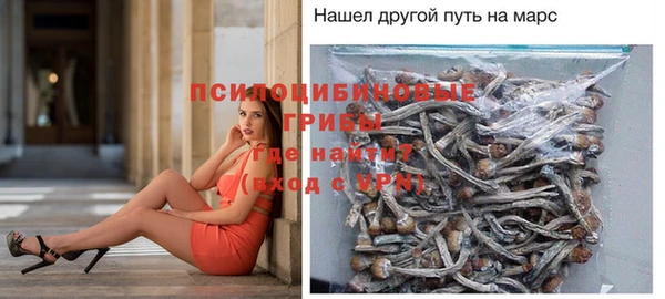 тгк Аркадак