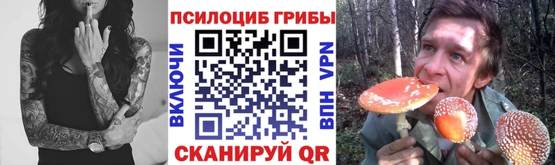 Псилоцибиновые грибы Magic Shrooms  Сибай 