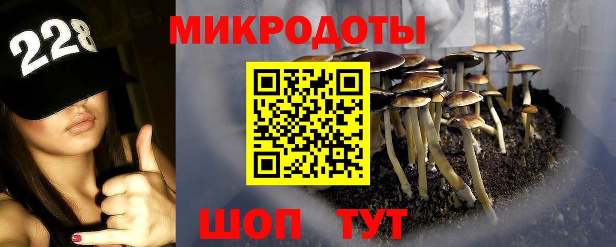 Псилоцибиновые грибы Magic Shrooms Сибай